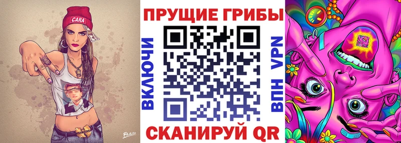 Галлюциногенные грибы GOLDEN TEACHER  Чаплыгин 